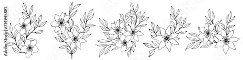 vector composition with flower, leaves and branch. Elegant art for decoration. ink hand drawing monochrome botanical illustration for backgrounds. Template for wedding cards, polygraph, logo, tattoo