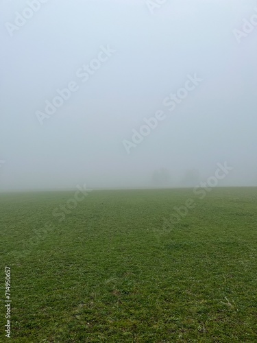 Green meadow with thick fog