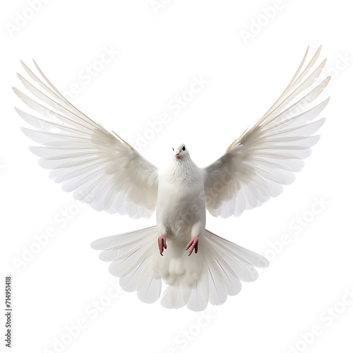 Graceful White Dove Soaring in Isolated Flight Against a Blue Sky     Symbolizing Peace  Love  and Freedom in Nature s Beauty
