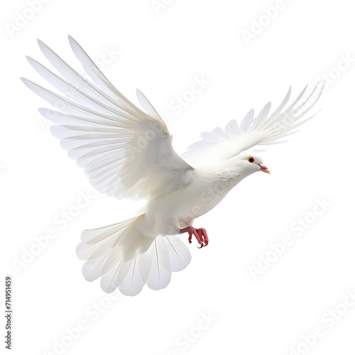 Graceful White Dove Soaring in Isolated Flight Against a Blue Sky – Symbolizing Peace, Love, and Freedom in Nature's Beauty photo