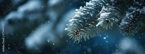 snow , winter, tree,