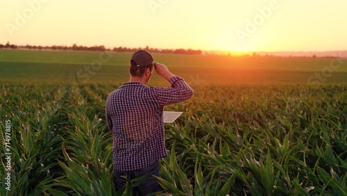 Farmer with computer tablet evaluates green corn sprouts in field at sunset. Businessman growing corn using tablet. Technology of modern agriculture, farmer working in field in agriculture. Cornfield photo