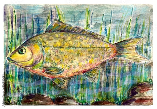 Colorful fish, watercolor illustration for a postcard