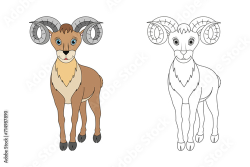 Urial line and color illustration. Cartoon vector illustration for coloring book.