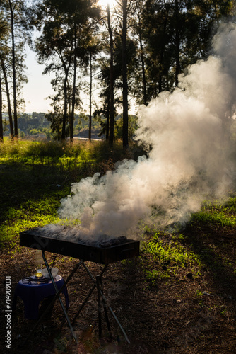 Sunlit smoke rises from a barbecue in Beit Shemen forest, casting a serene atmosphere during Israel Independence Day celebrations