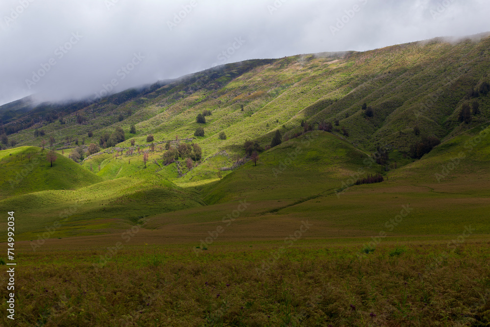 Landscape of green hills in the mountains on a cloudy day. Location of Mount Bromo in Bromo Tengger Semeru National Park, East Java, Indonesia Landscape of green hills in the mountains on a cloudy day. Location of Mount Bromo in Bromo Tengger Semeru National Park, East Java, Indonesia