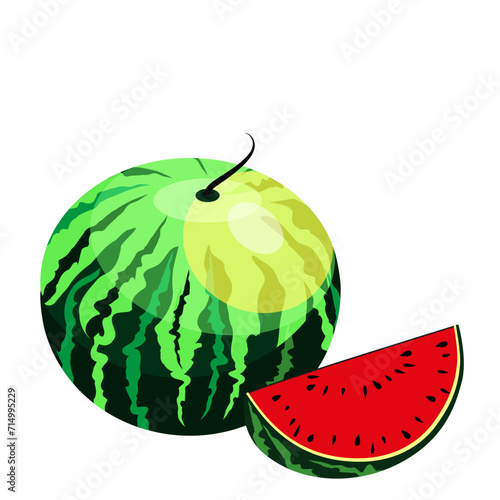 Watermelon and juicy slices, green leaves and yellow watermelon flower vector illustration in flat design. Summer food concept illustration isolated on white background.