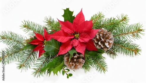 christmas corner arrangement with pine twigs and poinsettia flowers isolated