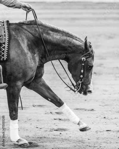 THIS PHOTO IS COPYRIGHT BROOKE FLAGTWET