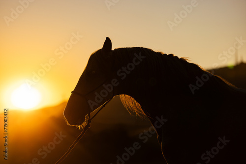 THIS PHOTO IS COPYRIGHT BROOKE FLAGTWET