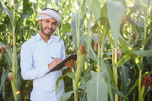 Photography Indian agronomist at agriculture corn field.