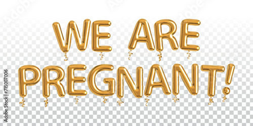Vector realistic isolated golden balloon text of We Are Pregnant on transparent background.