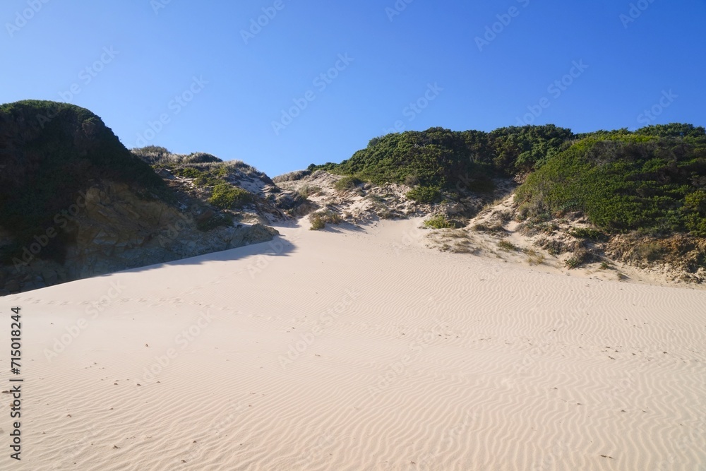 view of the beautiful nature at the Punta Paloma beach with dunes near Valdevaqueros, Tarifa, Andalusia, province of Cádiz, Spain	