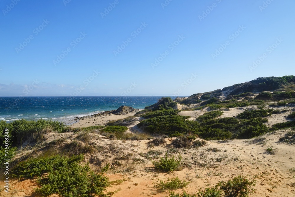 view of the beautiful coastline at the Punta Paloma beach with dunes near Valdevaqueros, Tarifa, Andalusia, province of Cádiz, Spain	
