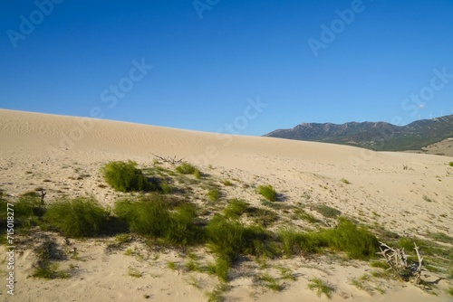 large sand dune of Valdevaqueros in front of green mountains of Andalusia, Tarifa, Costa de la Luz, Andalusia, province of Cádiz, Spain, Travel, Tourism
