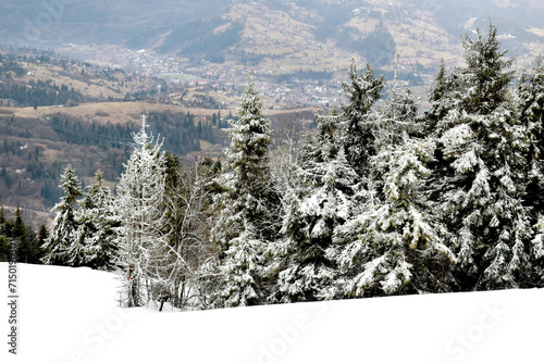 winter landscape in the mountains