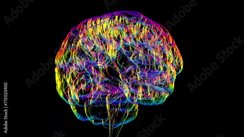 3D animation showing the anatomical structure of the human brain rotating through 360 degrees.