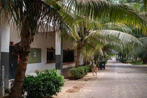 bâtiment de la manufacture des Arts décoratifs de la ville de Thiès au Sénégal en Afrique occidentale © Pierre