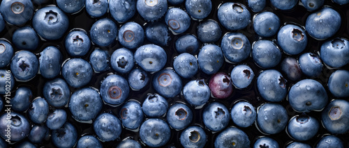 Fresh wet bilberry or blueberry fruits with water drops, closeup macro detail, wide banner. Generative AI photo
