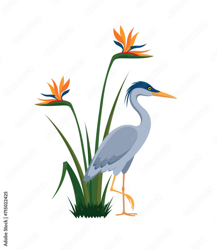 Gray heron and Strelitzia (bird of paradise) flowering bush, eps 10 format Gray heron and Strelitzia (bird of paradise) flowering bush, eps 10 format