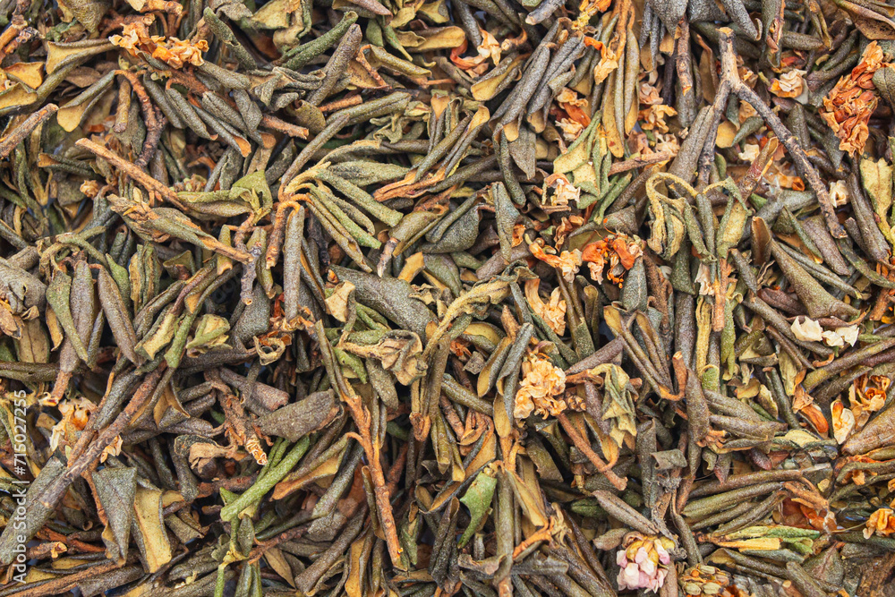 inflorescence of dried rhododendron adams on a white isolated background, close-up texture of sagan daylya tea