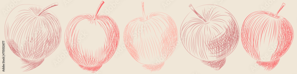 Set of hand drawing apples. Vector illustration. For print. Set of hand drawing apples. Vector illustration. For print.