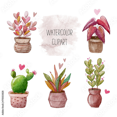 Set of  potted cactus plants and succulents, hand drawn. Watercolor collection, elements are isolated on white background. Design for various decor, interior products, cards, stickers etc.