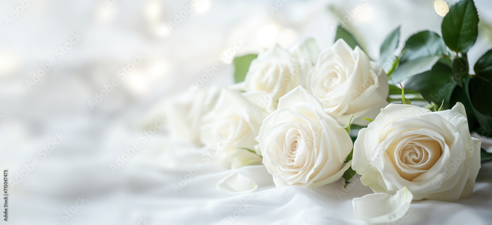 Obraz premium Serene bouquet of white roses against a gentle, luminous backdrop.