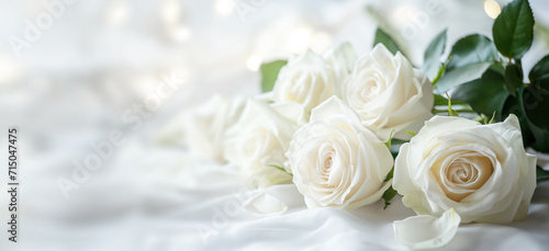 Serene bouquet of white roses against a gentle, luminous backdrop. © tania_wild