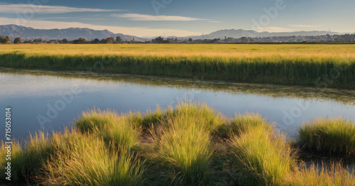 A vibrant and panoramic view of the Baylands Park in Sunnyvale, California, showcasing the colorful landscape, electric blue sky, and the contrast of nature in the heart of Silicon Valley. photo