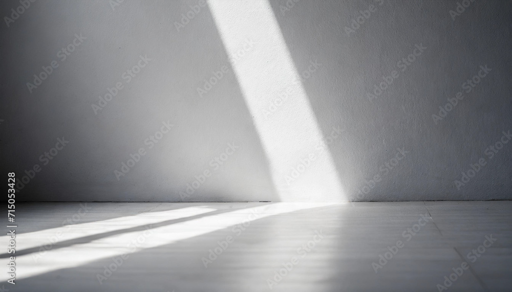 empty room bathed in ethereal white light, casting gentle shadows on pristine floor, capturing tranquility and simplicity empty room bathed in ethereal white light, casting gentle shadows on pristine floor, capturing tranquility and simplicity
