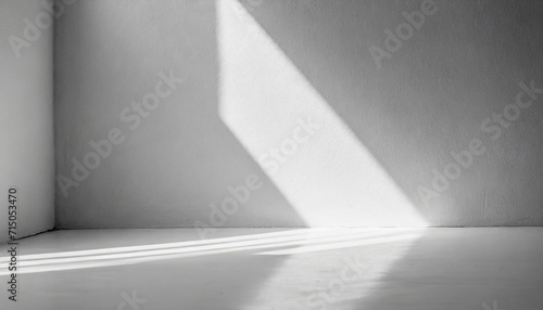 empty room bathed in ethereal white light, casting gentle shadows on pristine floor, capturing tranquility and simplicity © Your Hand Please
