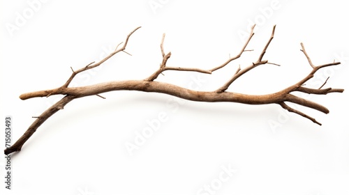 tree isolated on white ai generated