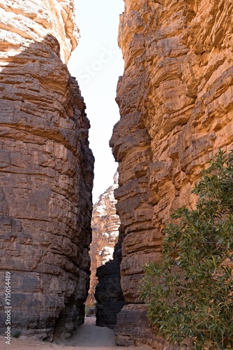 Canyon of Tilelouene and rock formations in the tourist area of Immourouden, near the town of Djanet. Tassili n Ajjer National Park. Sahara desert. Algeria. Africa.