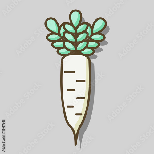 Japanese daikon radish with leaf vector icon