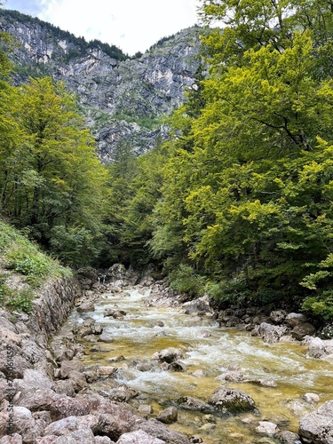 River in Slovenia © Anna