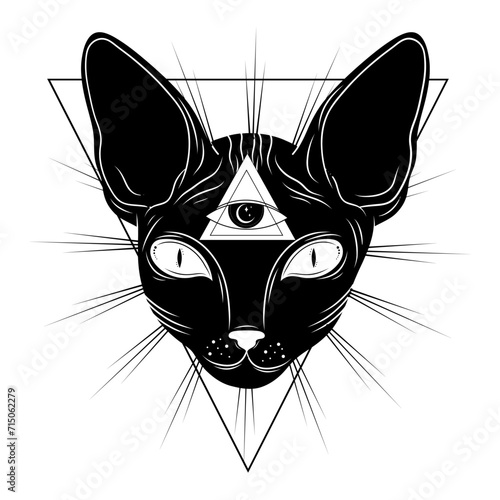 Mystical black cat. Moon, sun, grass, stars. Esoteric symbols, tattoo, logo. 