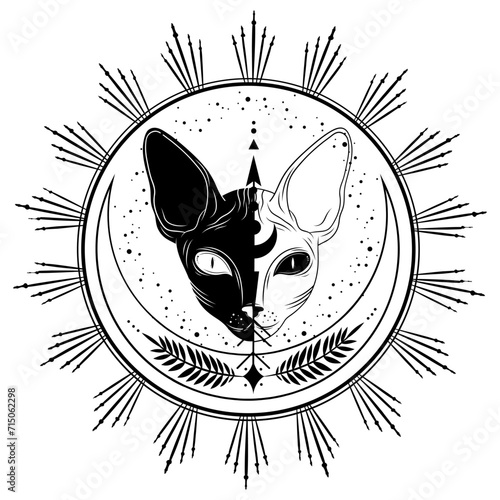 Mystical black cat. Moon, sun, grass, stars. Esoteric symbols, tattoo, logo. 