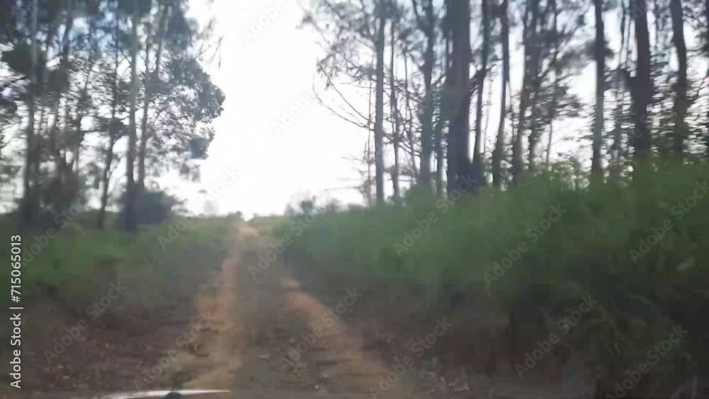 time lapse dirigindo em estrada de terra na cidade de Boa Esperança, Estado de Minas Gerais, Brasil time lapse dirigindo em estrada de terra na cidade de Boa Esperança, Estado de Minas Gerais, Brasil