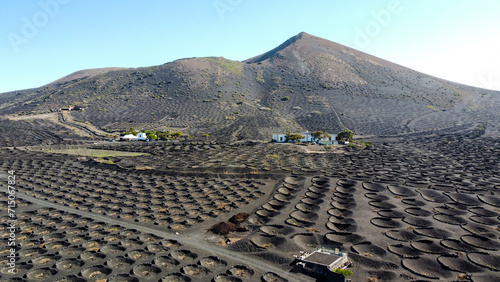 Volcanic landscape in island. Wine production in Lanzarote. La Geria