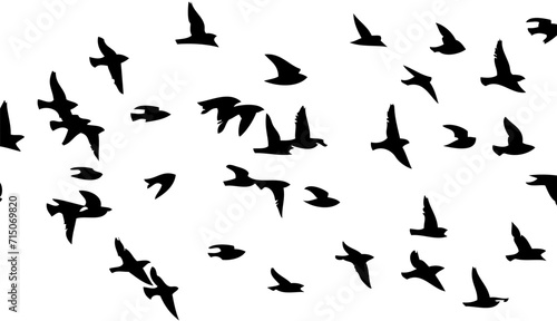 Flying birds silhouette flock. hand drawing. Not AI  Vector illustration