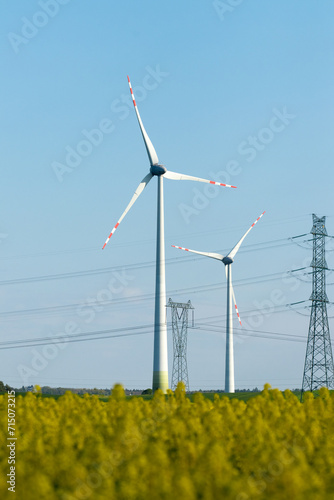 Wind turbine in a rapeseed field