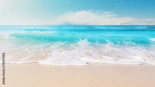 Beautiful sandy beach and blue ocean waves © Ion
