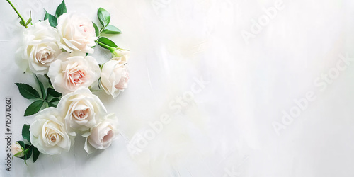 White roses on a soft textured background with ample space. Elegant floral design for wedding invitations, cards, wallpaper. Light and airy composition with copy space 