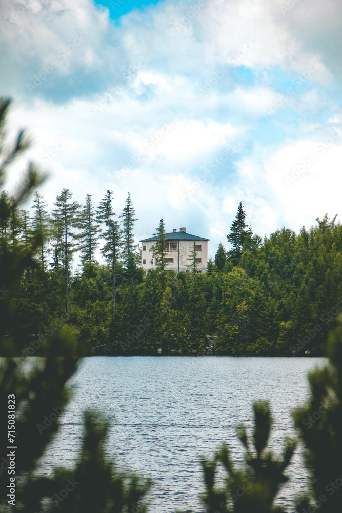 Obraz premium House in the forest