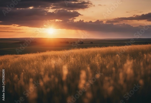 Golden Sunset Over Serene Prairie Landscape © FrameFinesse