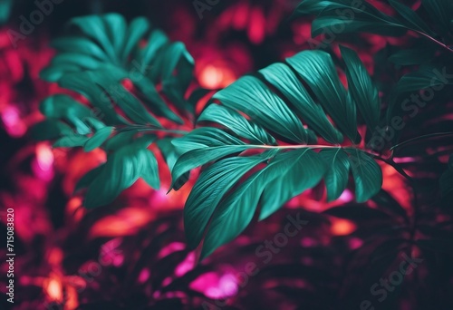 Neon green purple and red tropical leaves Color exotic tree and plant leaves