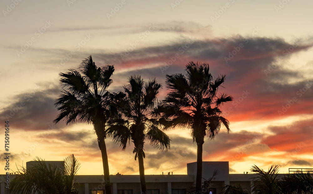 Obraz premium sunset at the beach with palm trees