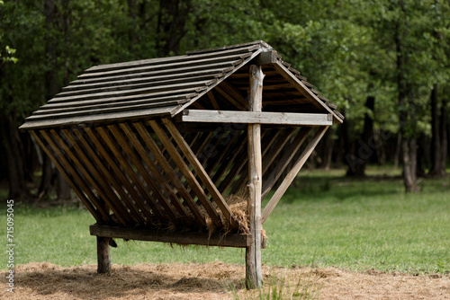 Abandoned Feeder Amidst Nature. The concept of wildlife conservation