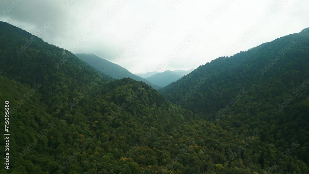 landscape with fog landscape with fog